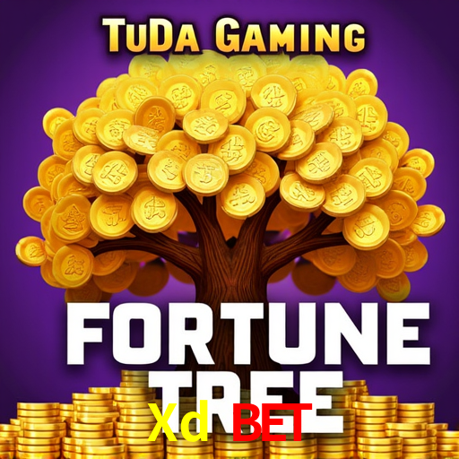 Xd Bet: Seu Cassino Premiado com Pagamentos Rápidos